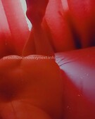 Анкета проститутки Раиса - метро Нагатино-Садовники, возраст - 30